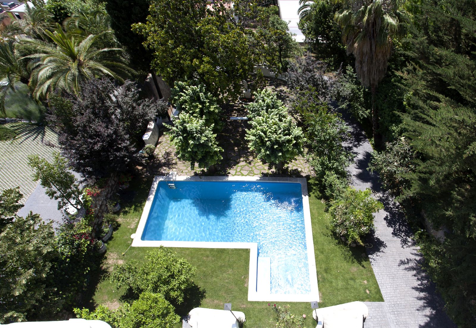 View of the pool from above